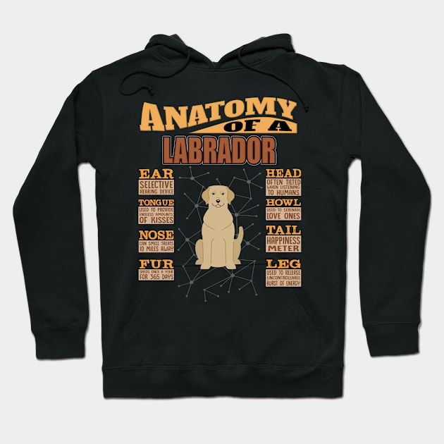 Anatomy Of A Labrador Retriever - Labrador Retriever Labrador,Lab,Golden Hair, Hoodie by HarrietsDogGifts